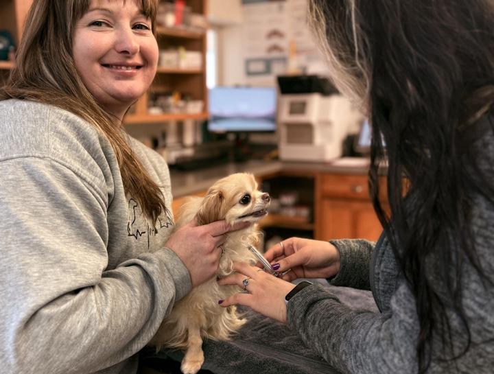 Austinburg Vet Exams